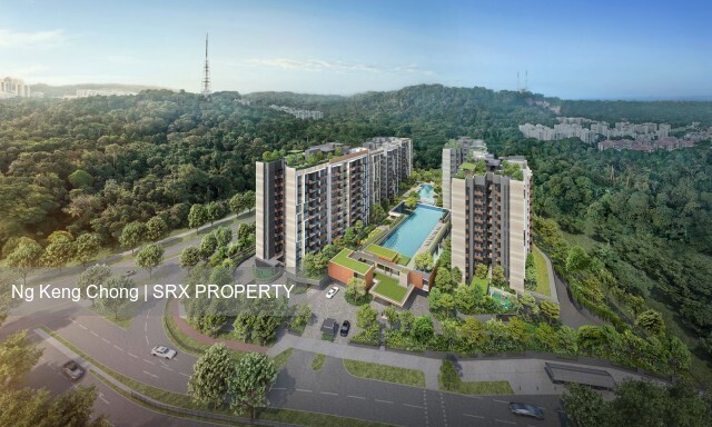 Jalan Jurong Kechil (D21), Condominium #552429691